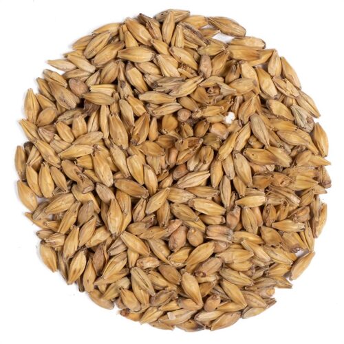 Viking malt caramel pale malt mallas