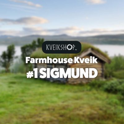 Farmhouse Kveik #1 Sigmund
