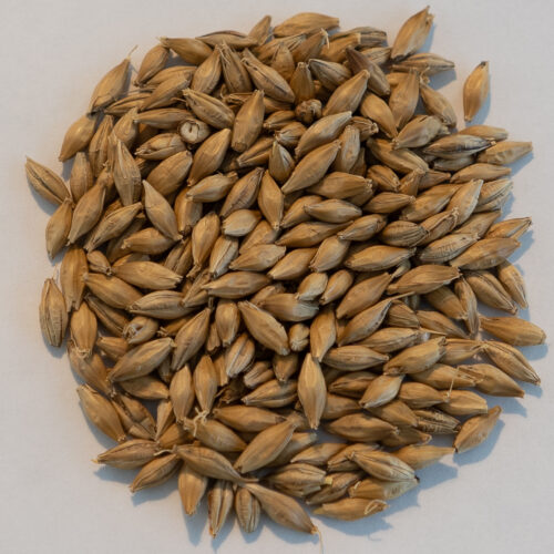 Pehkolan Mallastamo Vienna