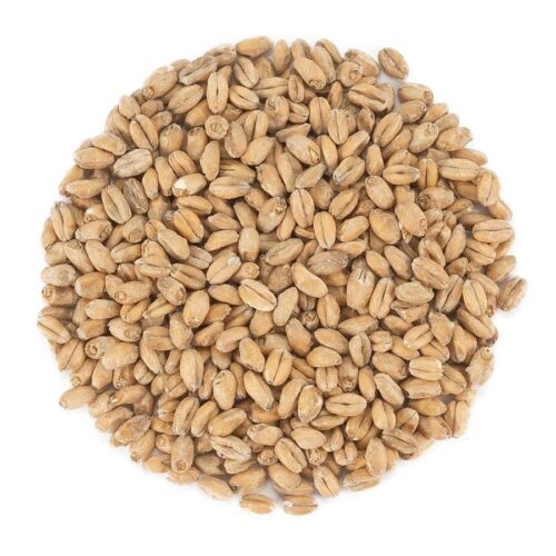 Wheat Blanc malt Castle Malting - Vehnämallas