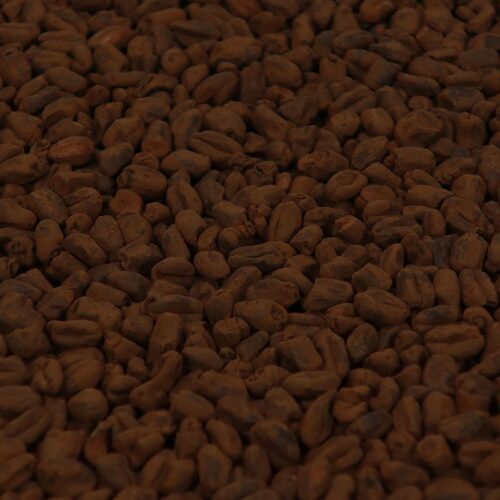 Castle Malting Château Wheat Chocolat®