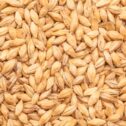 Bestmalz Vienna Malt