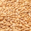 Bestmalz Vienna Malt