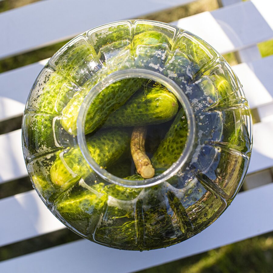 pet-kaymisastia-5-litraa_5 Monikäyttöinen käymisastia kannella ja vesilukolla, 5 litraa, PET muovi