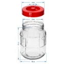 5l-gallon-glass-carboy-with-nylon-straps-and-plastic-cap-for-wine-making-and-preserving-601650_wym
