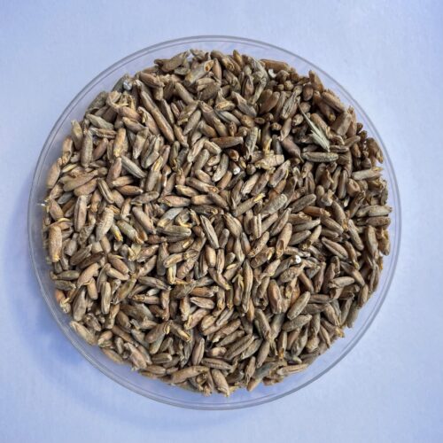 Pehkolan Mallastamo Luomu Ruismallas, FI-EKO-201