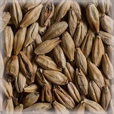 Castle Malting Château Crystal 150® - EBC 145-155