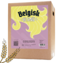 WEB_Image_Belgisk_Blond_allgrain_ølsett_belgisk_blond_01_v2546234317_plid_23553