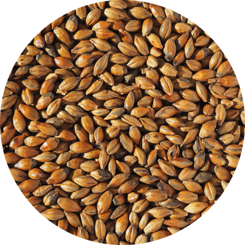 CRISP - Brown Malt