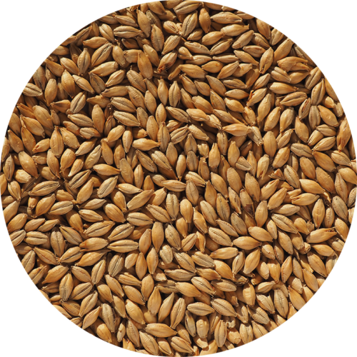 CRISP - Munich Light - 25kg