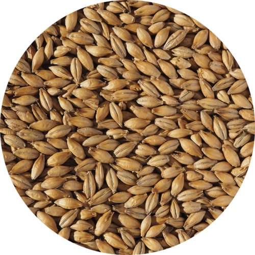 CRISP - Extra Pale Malt - 25kg