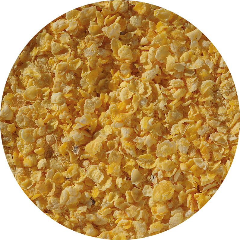 Malt-Single_Flaked-Torrefied-Maize-796-x-796 Malt-Single_Flaked-Torrefied-Maize-796-x-796