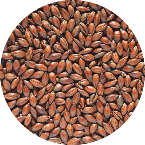 CRISP - Low colour Chocolate Malt