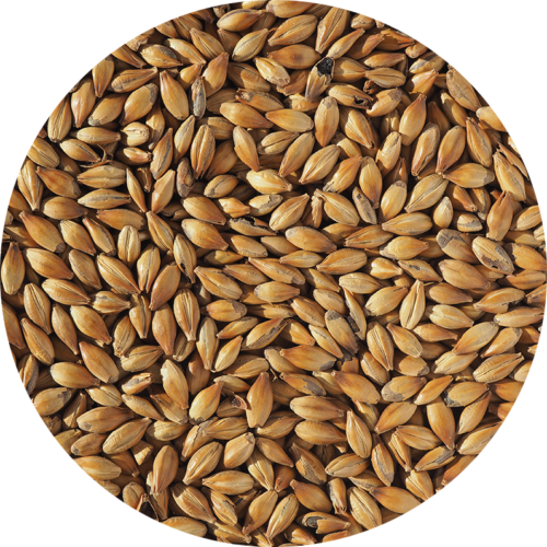 CRISP - Crystal Dark 400