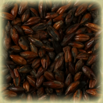Castle Malting Château Roasted Barley® - EBC min.1200
