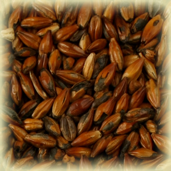 Castle Malting Cafe Light Malt - EBC 220-280