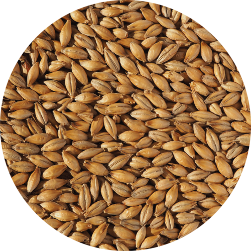 CRISP - BEST ALE MALT