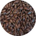 Malt-Single_Black-Malt-796-x-796