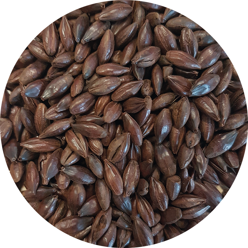 Malt-Single_Black-Malt-796-x-796 Malt-Single_Black-Malt-796-x-796