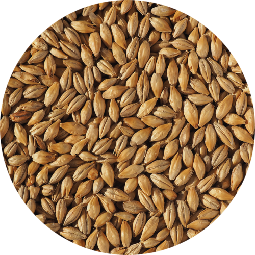 CRISP - DEXTRIN MALT