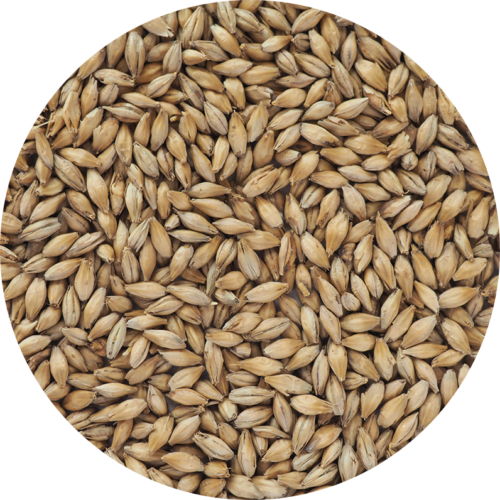 CRISP - GERMAN PILSNER MALT