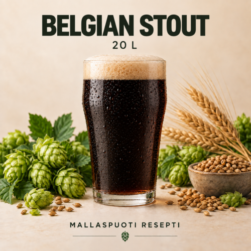 Belgian Stout