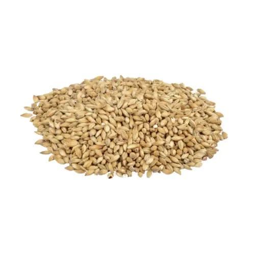 Weyermann® Floor-Malted Bohemian Pilsner Malt EBC 3 - 5