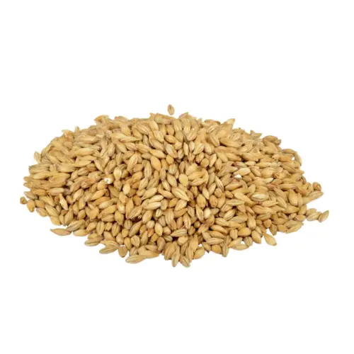 Weyermann® Eraclea Pilsner Malt EBC 2,5 - 4,5