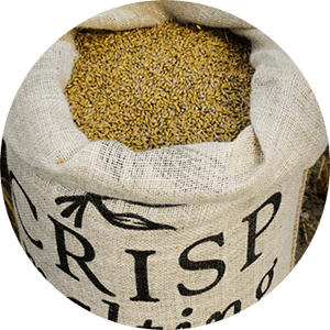 CRISP - NO 19 FLOOR MALTED MARIS OTTER MALT - LATTIAMALLASTETTU MARIS OTTER